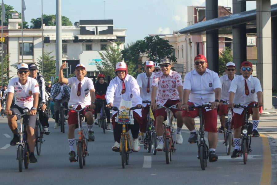 Batam folding bike