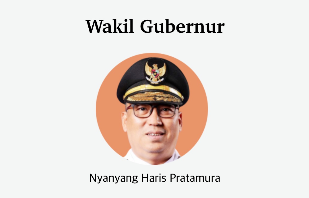 Pilkada Kepri 2029 Nyanyang Haris