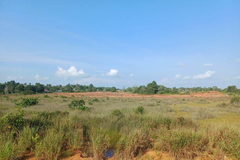 Pemandangan kawasan Pulau Dompak, Tanjungpinang, yang diproyeksikan menjadi pusat pengembangan kawasan industri.