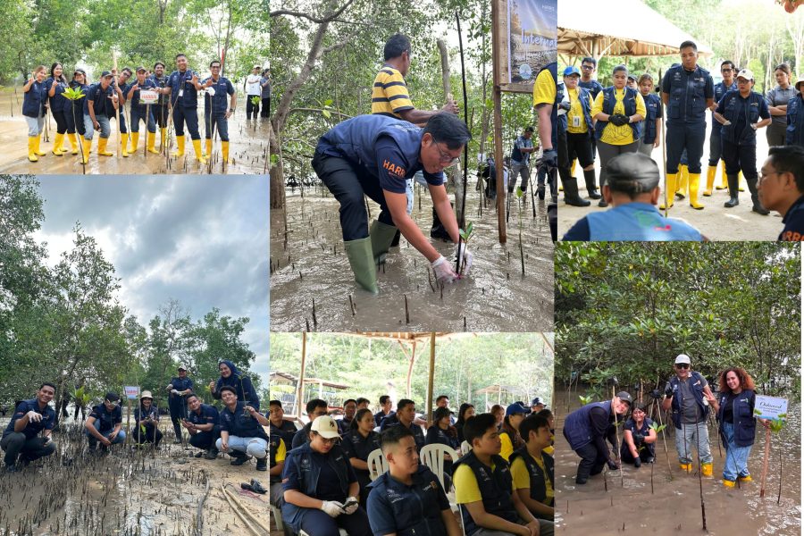 Karyawan Ascott Indonesia bersama komunitas menanam bibit mangrove di kawasan pesisir Batam sebagai bagian dari program konservasi Hari Mangrove Sedunia.