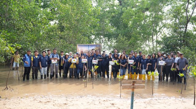 Karyawan Ascott Indonesia bersama komunitas menanam bibit mangrove di kawasan pesisir Batam sebagai bagian dari program konservasi Hari Mangrove Sedunia.