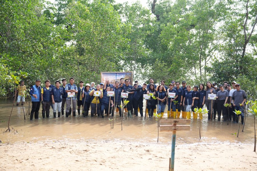 Karyawan Ascott Indonesia bersama komunitas menanam bibit mangrove di kawasan pesisir Batam sebagai bagian dari program konservasi Hari Mangrove Sedunia.