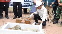 Gubernur Kepulauan Riau Ansar Ahmad dan Wali Kota Batam Amsakar Achmad menghadiri peletakan batu pertama pembangunan SMKN 13 Batam di Tanjung Buntung.