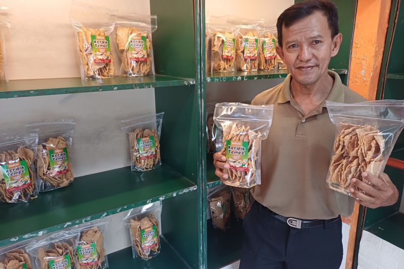 Keripik tempe tanjung pinang