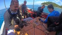 Kegiatan rehabilitasi terumbu karang oleh KOMPAK bersama PT Soechi Lines Tbk di Pulau Pahat, Kepulauan Anambas.