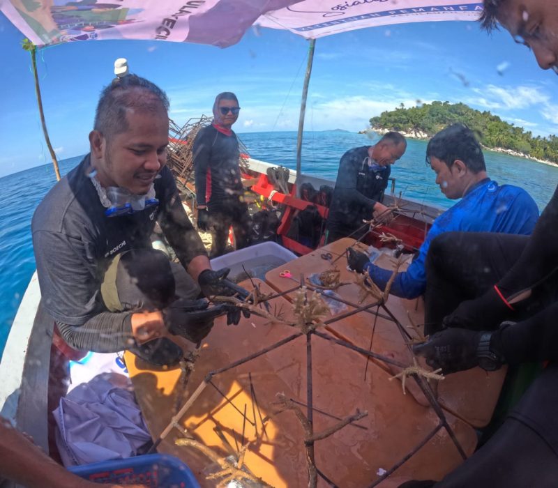 Kegiatan rehabilitasi terumbu karang oleh KOMPAK bersama PT Soechi Lines Tbk di Pulau Pahat, Kepulauan Anambas.