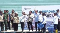 Budidaya lobster batam
