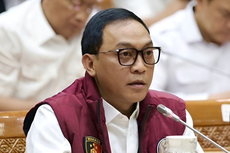 Direktur Tindak Pidana Narkoba (Dirtipidnarkoba) Bareskrim Polri Brigjen Pol. Eko Hadi Santoso. Foto: Dittipidnarkoba Bareskrim Polri 