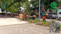 Petugas PLN Batam membangun gardu distribusi baru di kawasan Senjulung.