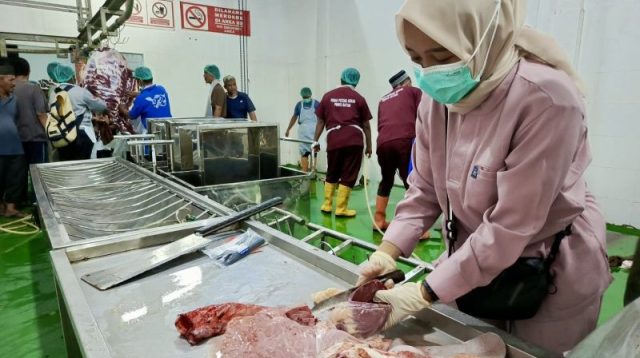 Petugas RPH Batam mempersiapkan pemotongan ternak sesuai standar keamanan, kesehatan, keutuhan, dan kehalalan daging.