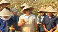Wakil Gubernur Kepulauan Riau Nyanyang Haris Pratamura menyampaikan arah pemerataan investasi Kepri ke berbagai kabupaten dan kota.