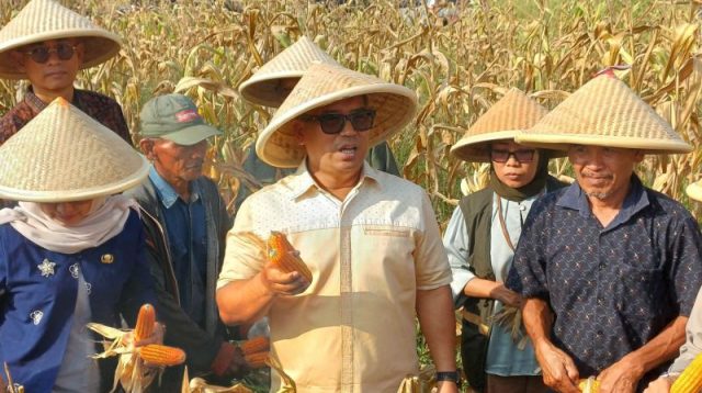 Wakil Gubernur Kepulauan Riau Nyanyang Haris Pratamura menyampaikan arah pemerataan investasi Kepri ke berbagai kabupaten dan kota.