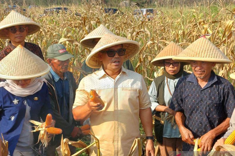 Wakil Gubernur Kepulauan Riau Nyanyang Haris Pratamura menyampaikan arah pemerataan investasi Kepri ke berbagai kabupaten dan kota.