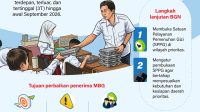 Infografis MBG