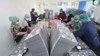 Makan Bergizi Gratis