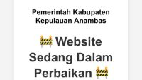 Situs Web Anambas