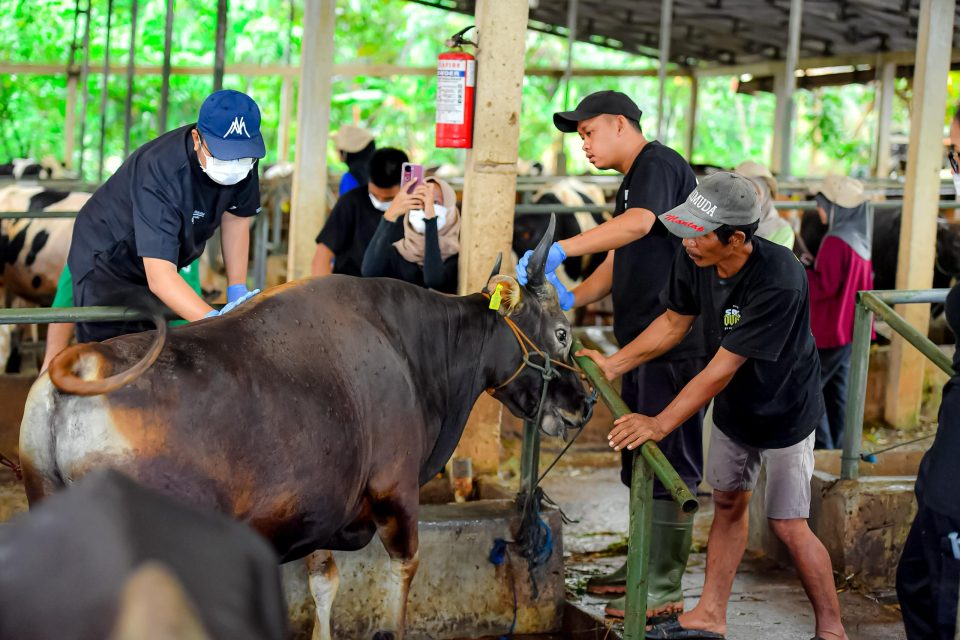 Kandangberkah.id