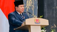 Temasek Danantara