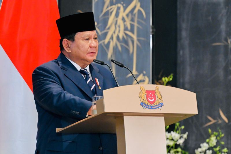 Temasek Danantara