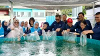 Bioflok pln batam Bioflok pln batam
