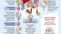 Infografis koperasi merah putih Infografis koperasi merah putih