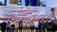 Ekspor kelapa ke china Ekspor kelapa ke china