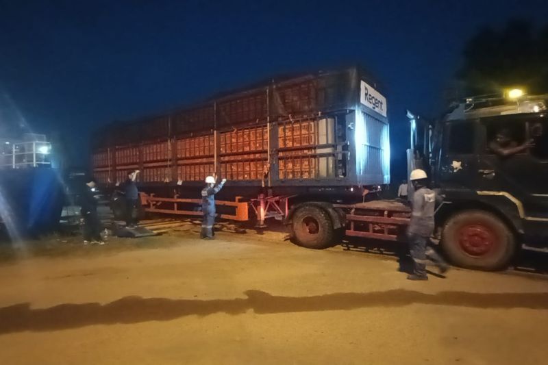 Ekspor ayam ke singapura