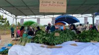 Pasar perlawanan rempang