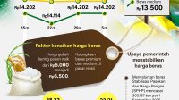 Infografis beras