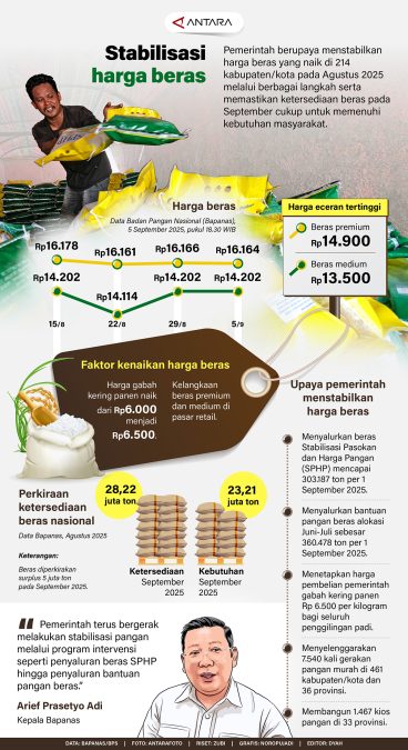 Infografis beras