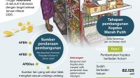 Infografis koperasi merah putih