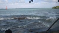 Minyak tumpah bintan