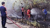 Kebakaran lahan natuna