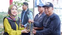 BKOW Kepri BKOW Kepri
