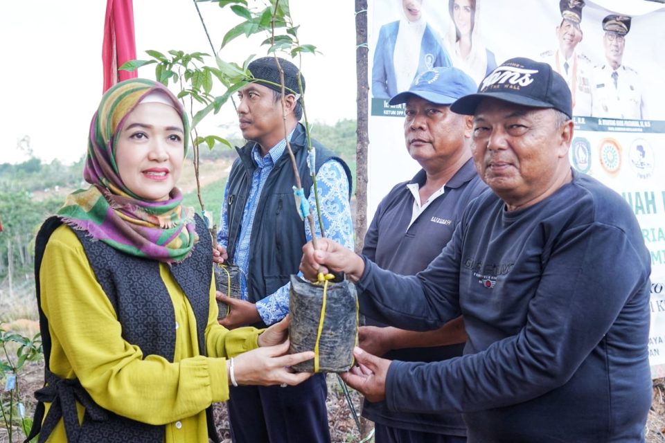 BKOW Kepri