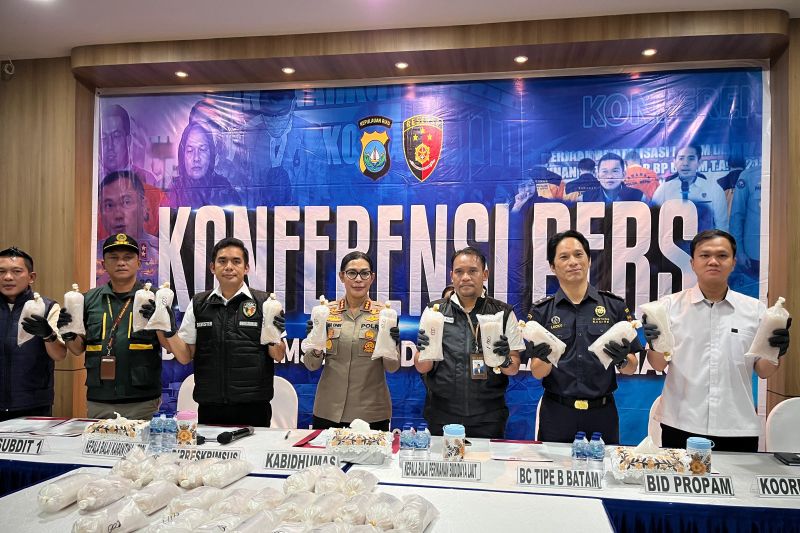 Petugas memeriksa benih bening lobster hasil sitaan kasus penyelundupan di Batam.