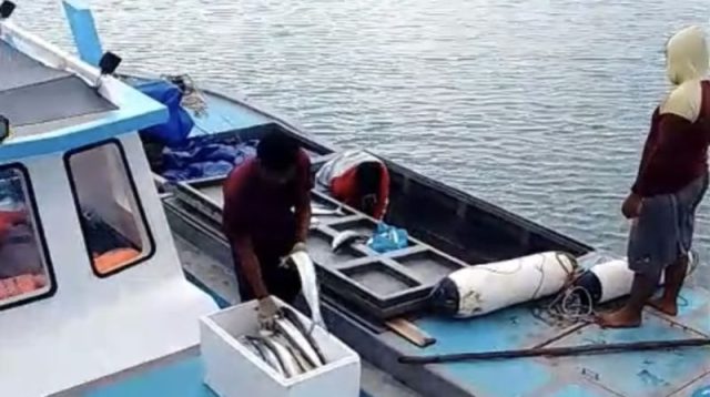 Koperasi rempang
