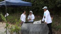 tanaman bugenvil Batam dirusak