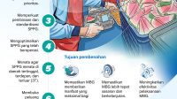 Infografis MBG