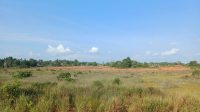 Pemandangan kawasan Pulau Dompak, Tanjungpinang, yang diproyeksikan menjadi pusat pengembangan kawasan industri. Pemandangan kawasan Pulau Dompak, Tanjungpinang, yang diproyeksikan menjadi pusat pengembangan kawasan industri.