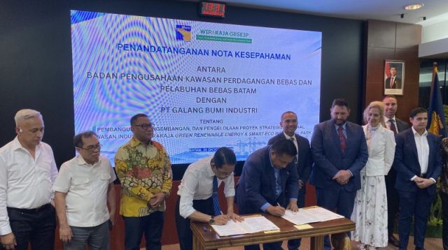 Industri semikonduktor pulau galang