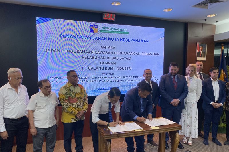 Industri semikonduktor pulau galang