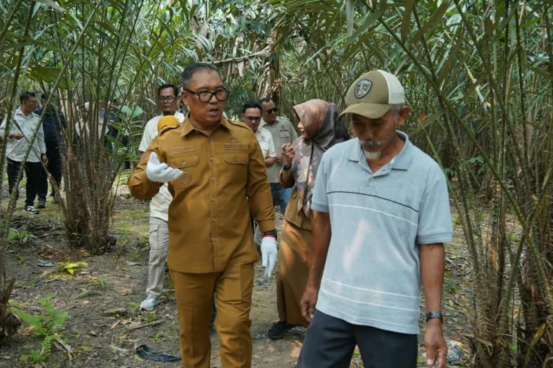 Buah salak Sari Intan yang dikembangkan Kelompok Tani Maju Jaya di Bintan untuk memenuhi pasar lokal dan luar negeri.