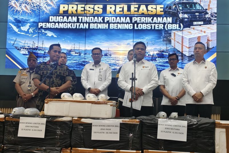 Petugas Bareskrim Polri menyita 73.000 benih bening lobster dalam 12 boks terkait dugaan penyelundupan dari Pangandaran ke Vietnam.